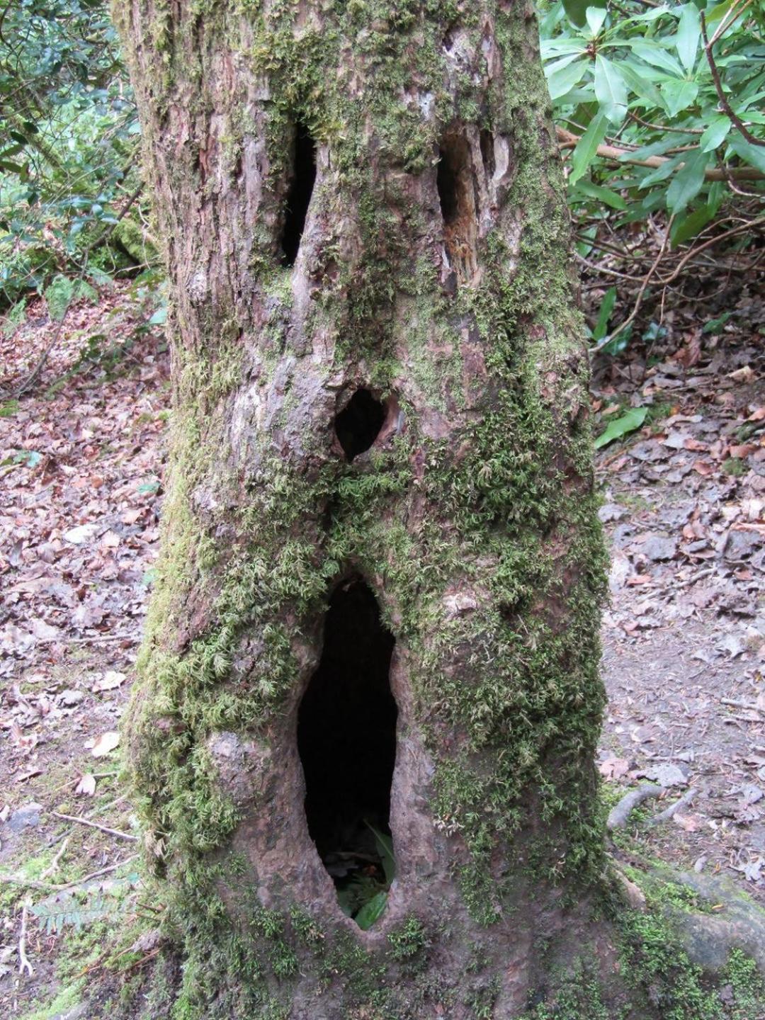 拜尔斯布龙Naehe Nationalpark公寓 外观 照片
